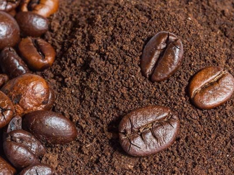 cách sử dụng bã cafe để tắm trắng