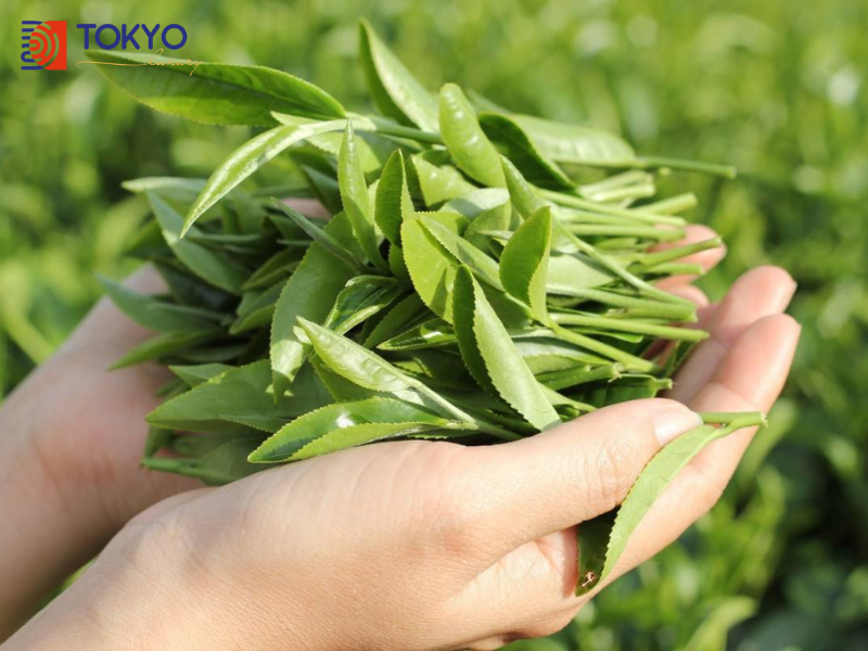 cách tắm trắng tại nhà