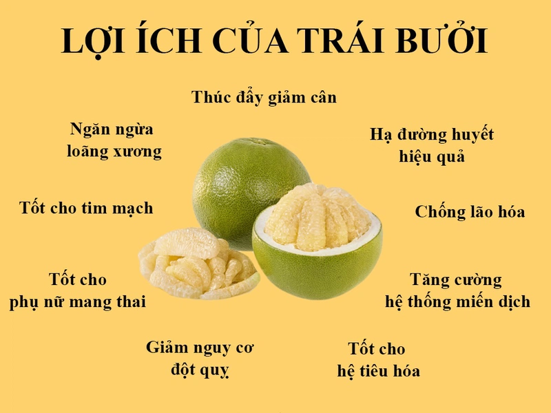 Lợi ích của trái bưởi
